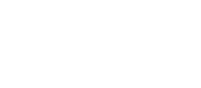 Promeon Security